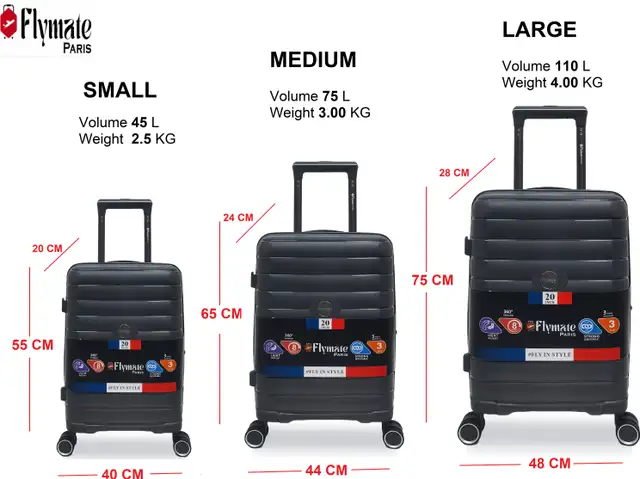 flymate paris Suitcase Combo (Grey) - Image 3