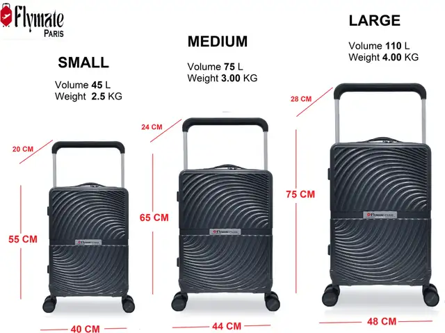 flymate paris Suitcase Combo (Grey) - Image 4